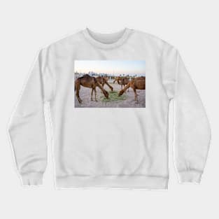 Camels eating. Crewneck Sweatshirt